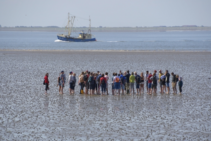 Wattwandern in Büsum